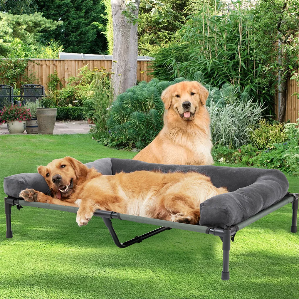 Bed Outdoor Camping - BINGOPAW Cuccia Rialzata per Cani da