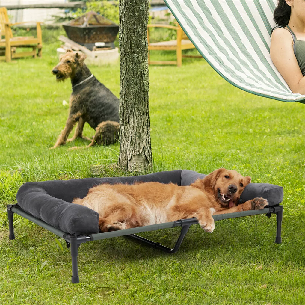 BINGOPAW Cuccia Rialzata per C - Bed Outdoor Camping recensione e prezzo