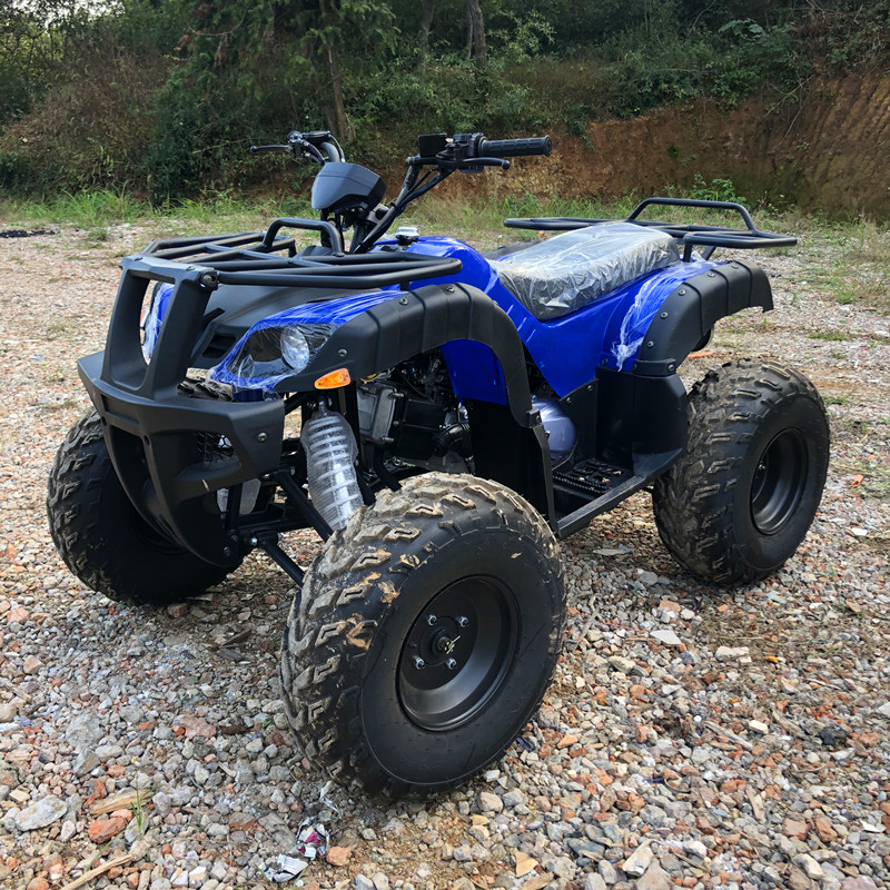 Quad Elettrico 4 Posti 4WD a 4 - Camping Quad recensione e prezzo